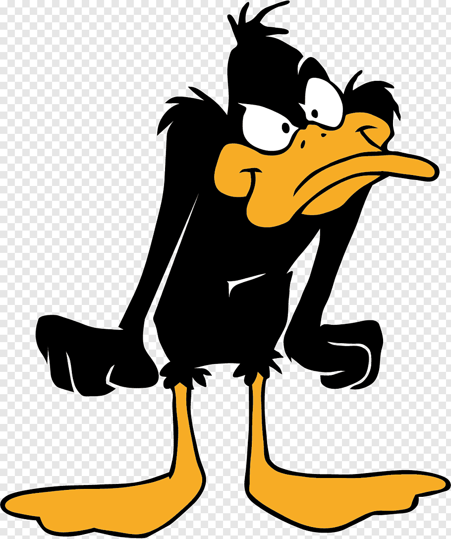 Daffy Duck, Daffy Duck Bugs Bunny Donald Duck Porky - Daffy Duck - HD Wallpaper 