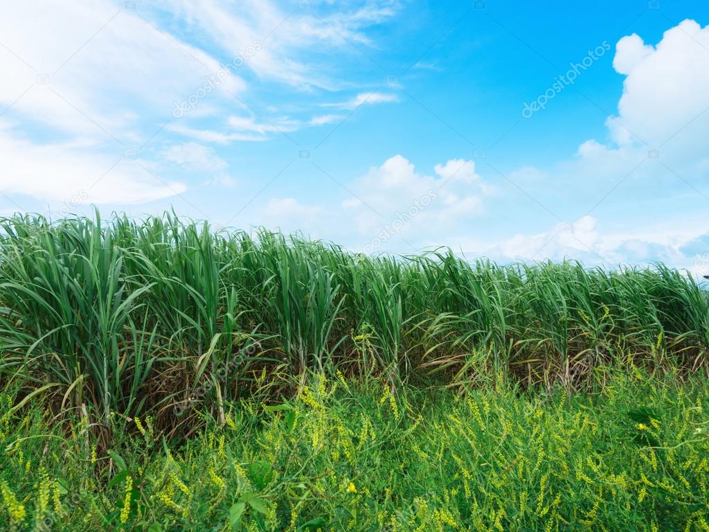 Stock Photography - HD Wallpaper 