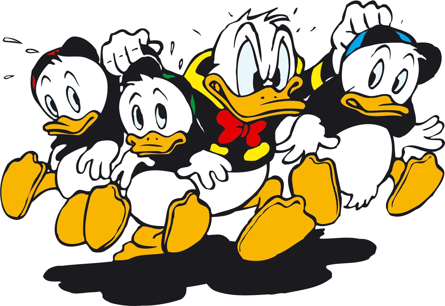 Huey Dewey And Louie Donald Duck - HD Wallpaper 