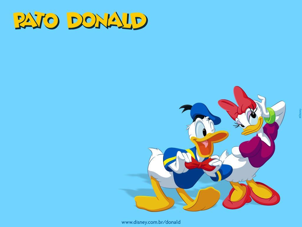 Donald Duck Best Wallpaper - Daisy Duck X Donald - HD Wallpaper 