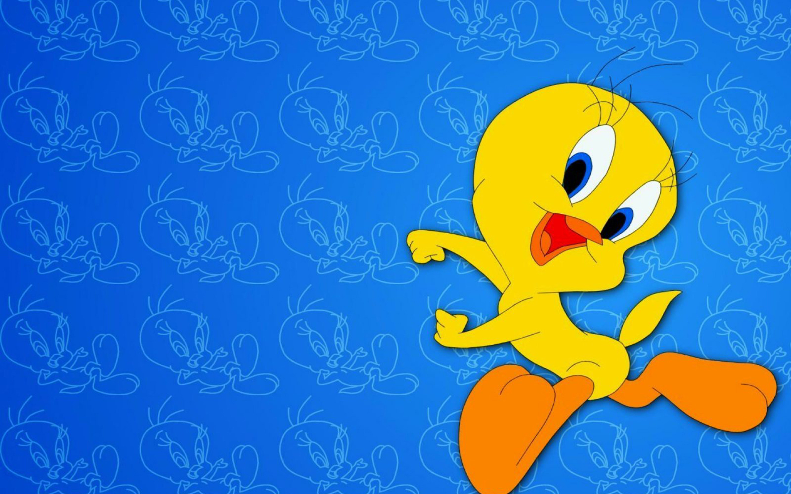 Coyote Bugs Bunny Daffy Duck Tasmanian Devil Tweety - Cartoon Wallpapers For Desktop - HD Wallpaper 