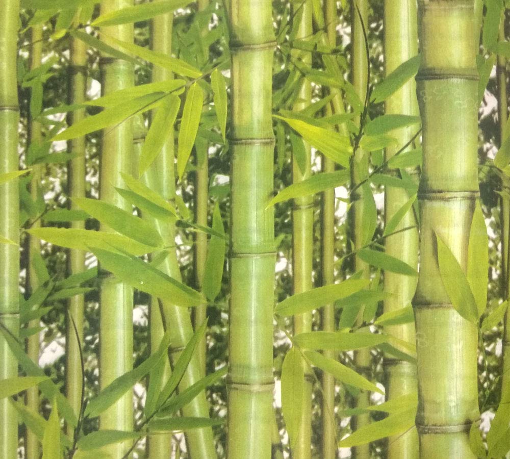 Bamboo Leaves - HD Wallpaper 