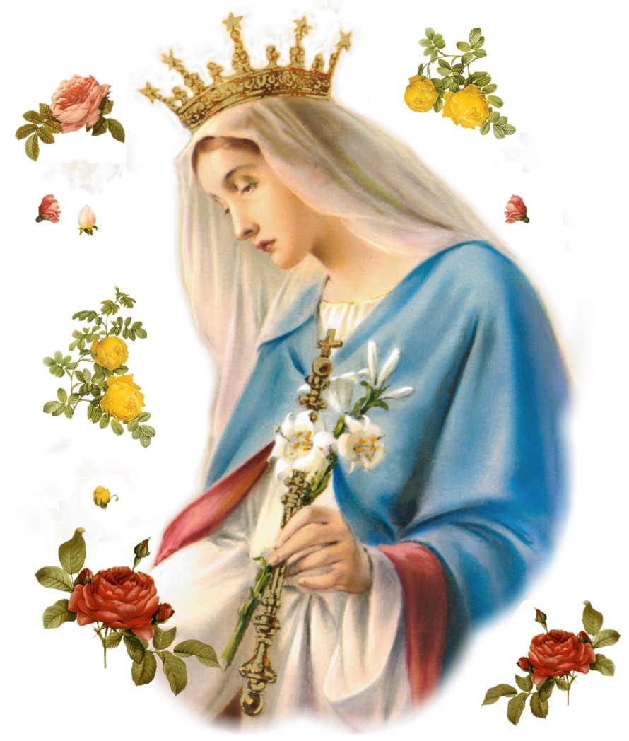 Virgin Mary With Flowers - 890x1048 Wallpaper 
