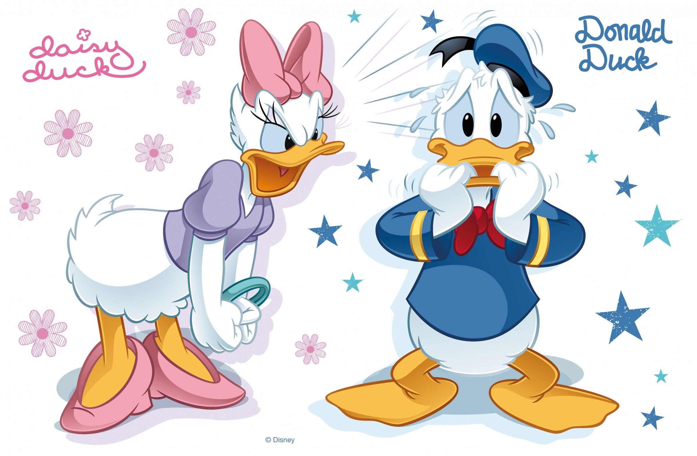 Donald Y Daisy Disney - HD Wallpaper 