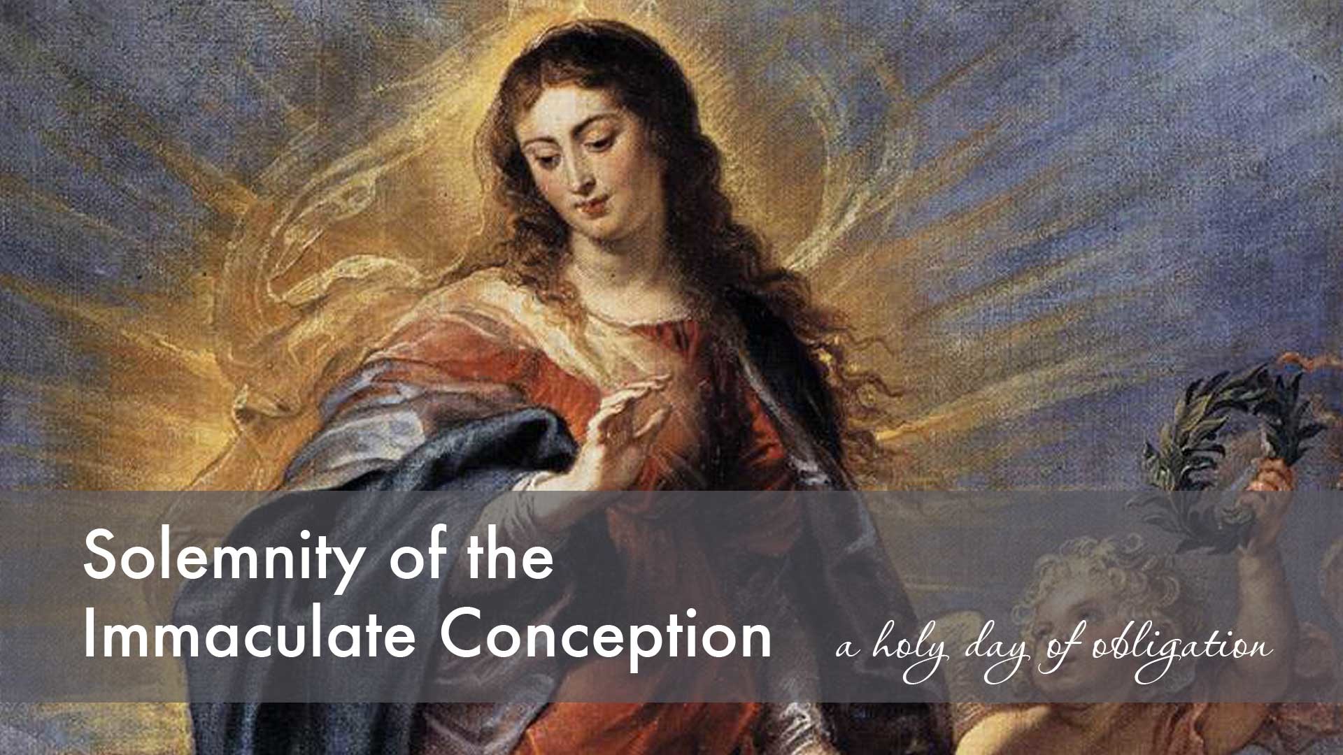 “the Most Blessed Virgin Mary Was, From The First Moment - Immaculate Conception - HD Wallpaper 