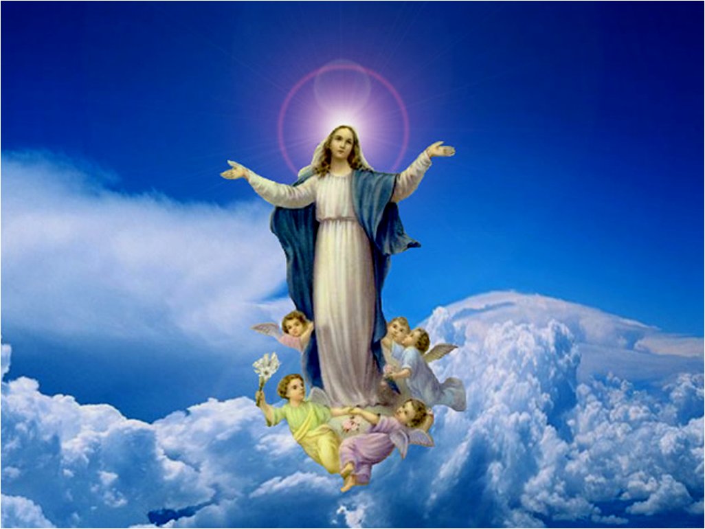 Our Mother Virgin Mary Christ Cloud Angel Hd Wallpaper - Assumption Of Mary  Hd - 1026x770 Wallpaper 