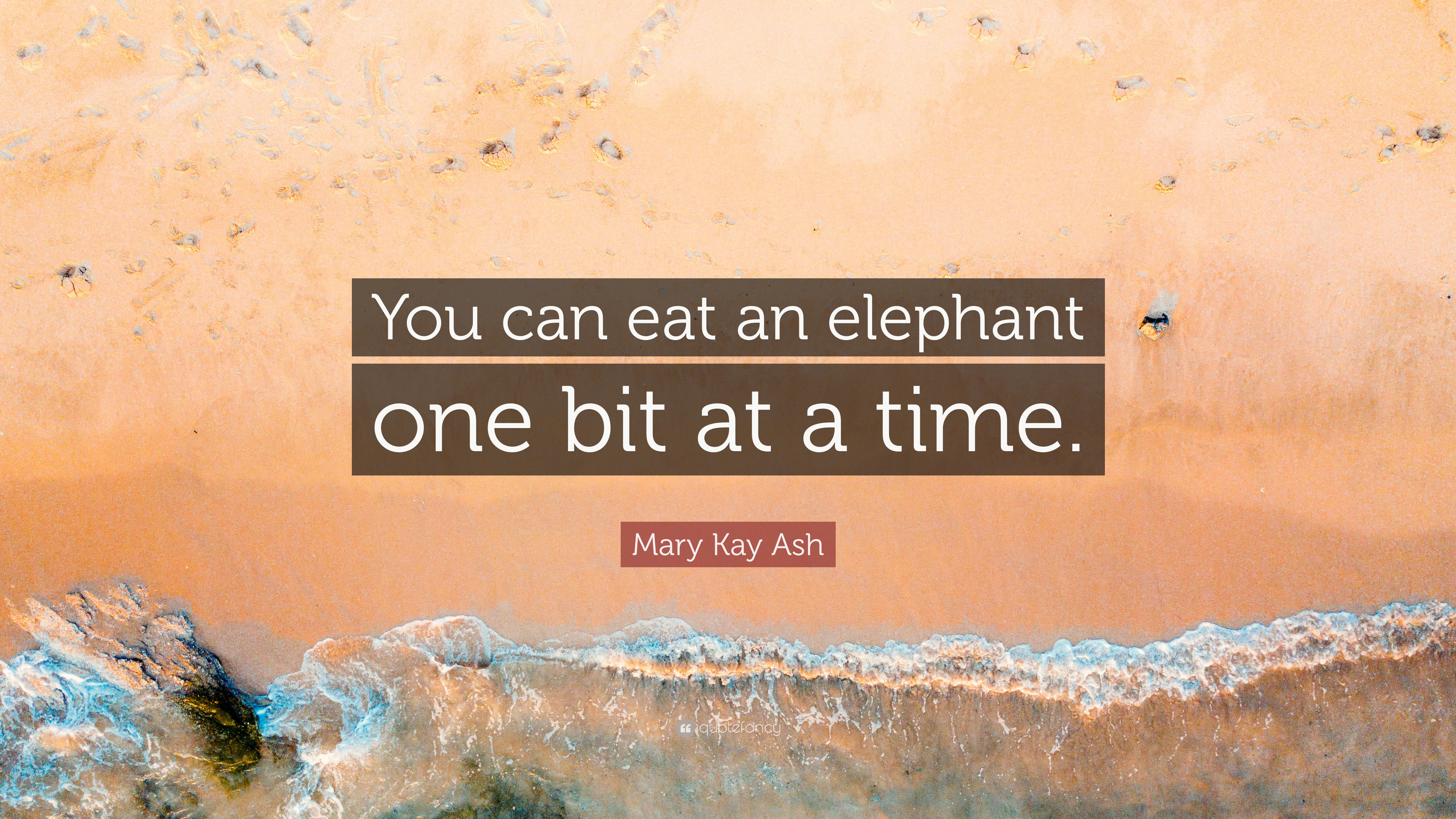 Mary Kay Ash Quote - Grateful For The Wound - HD Wallpaper 
