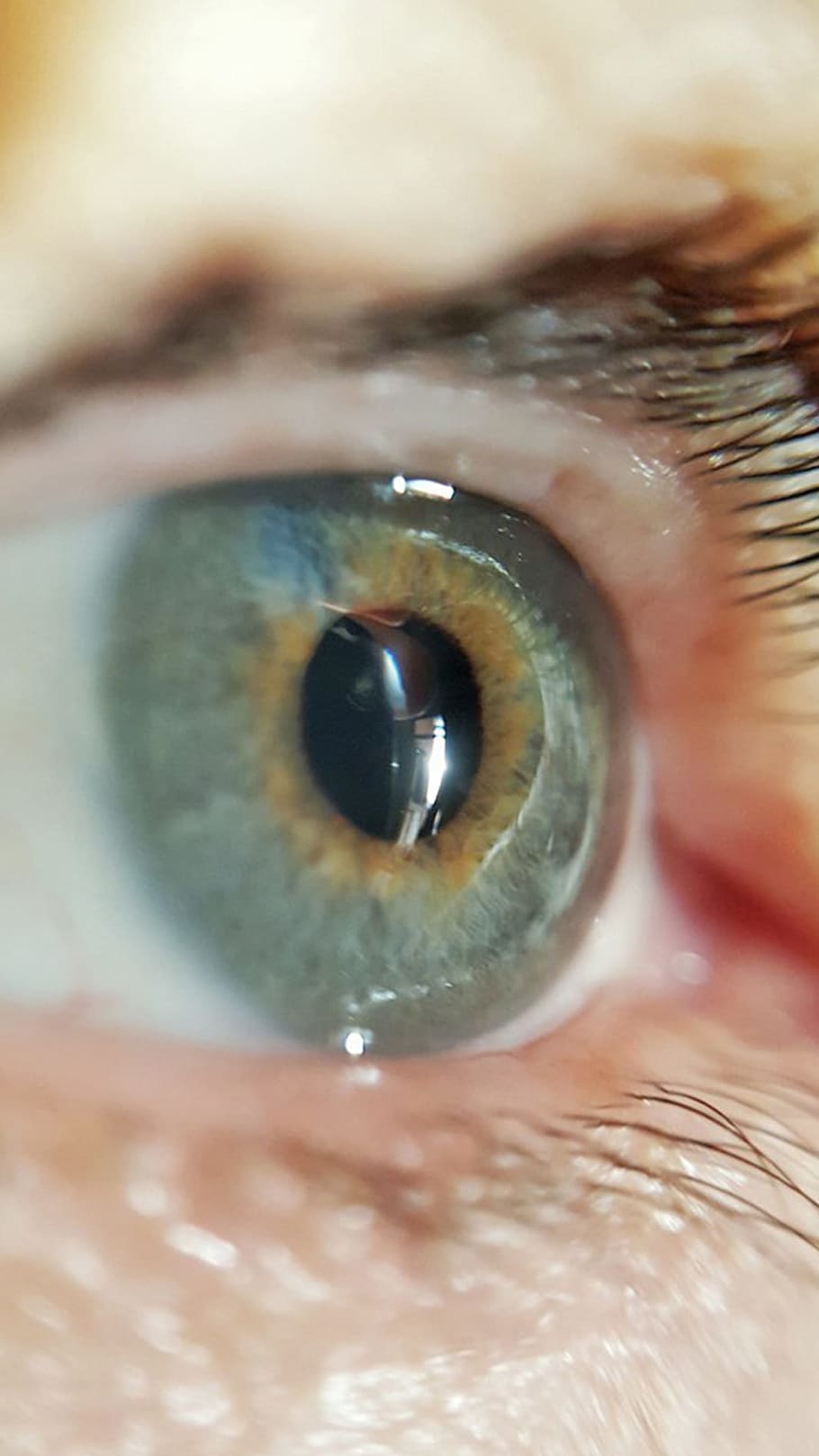 Eye, Lashes, Green, Old, Woman, Female, Makeup, Close, - Eyelash - HD Wallpaper 