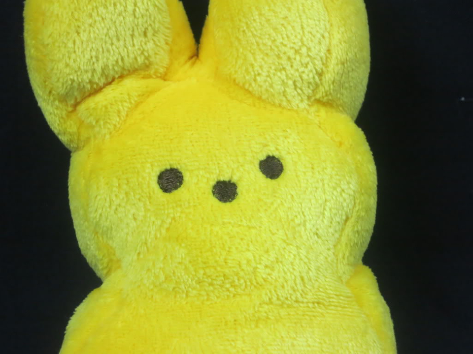 Peep Bunny - HD Wallpaper 