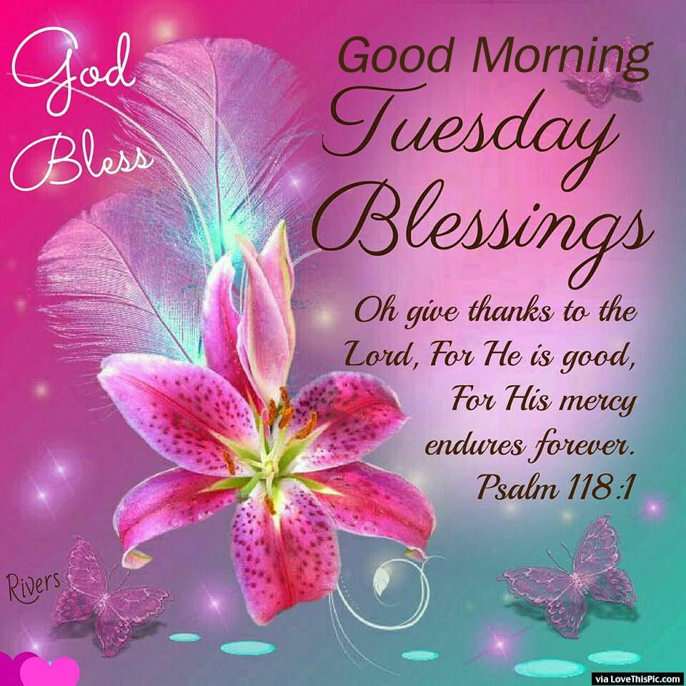 God Bless Good Morning Tuesday Blessings - Tuesday Good Morning Blessing - HD Wallpaper 