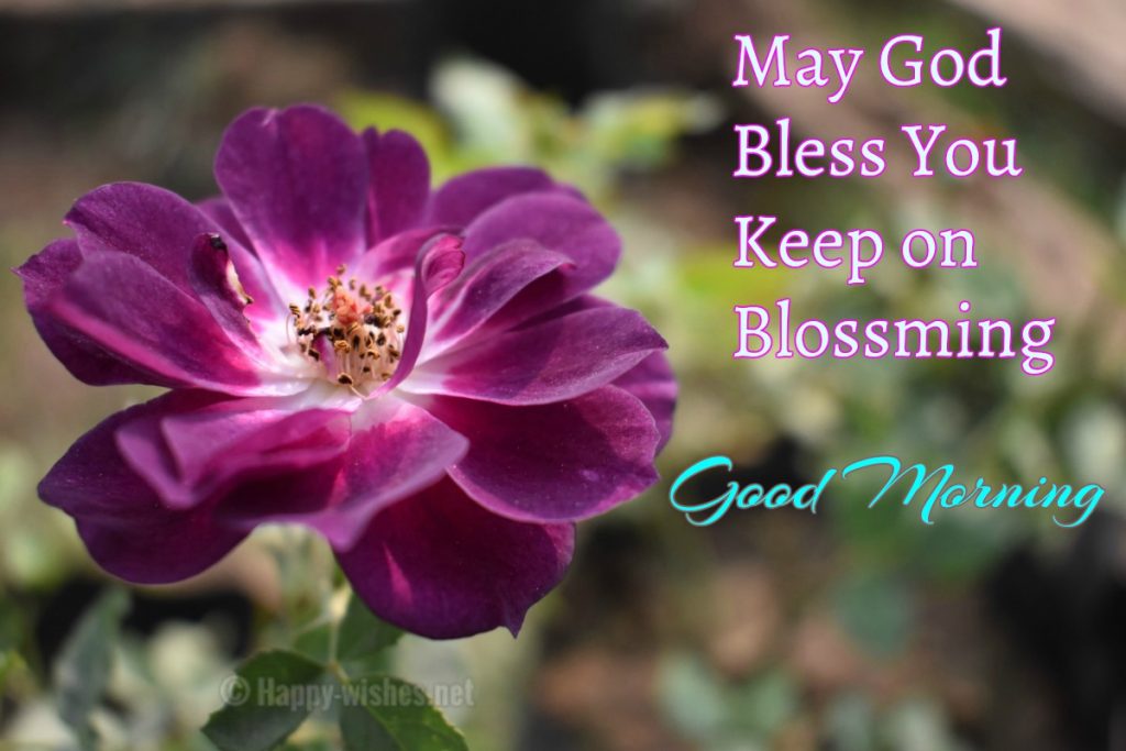 Good Morning Blessing Images - HD Wallpaper 