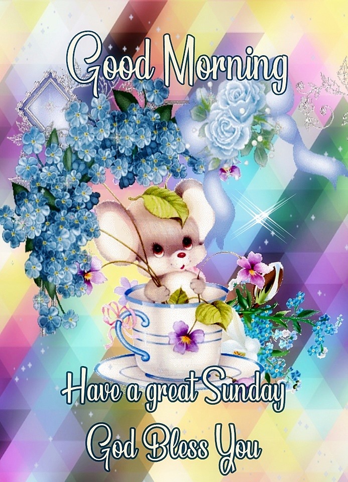 Good Morning Have A Great Sunday God Bless You Images - HD Wallpaper 