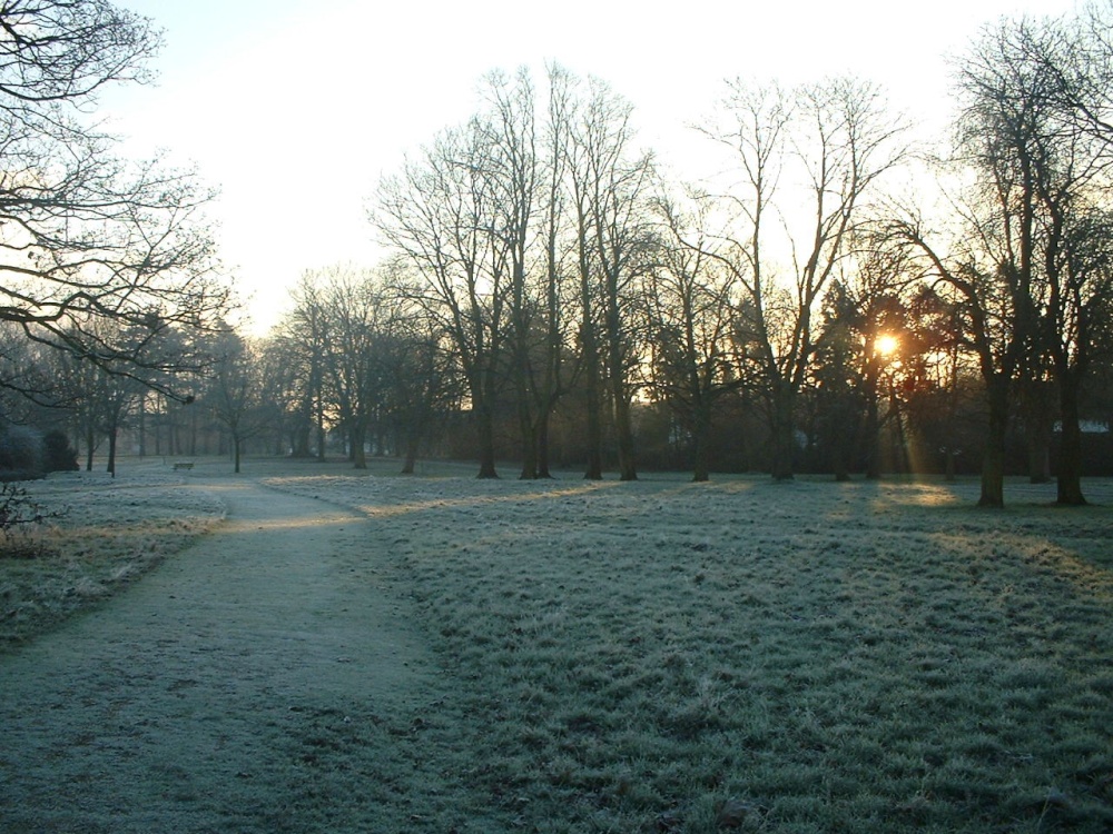 Cassiobury Park, Watford - Grove - HD Wallpaper 