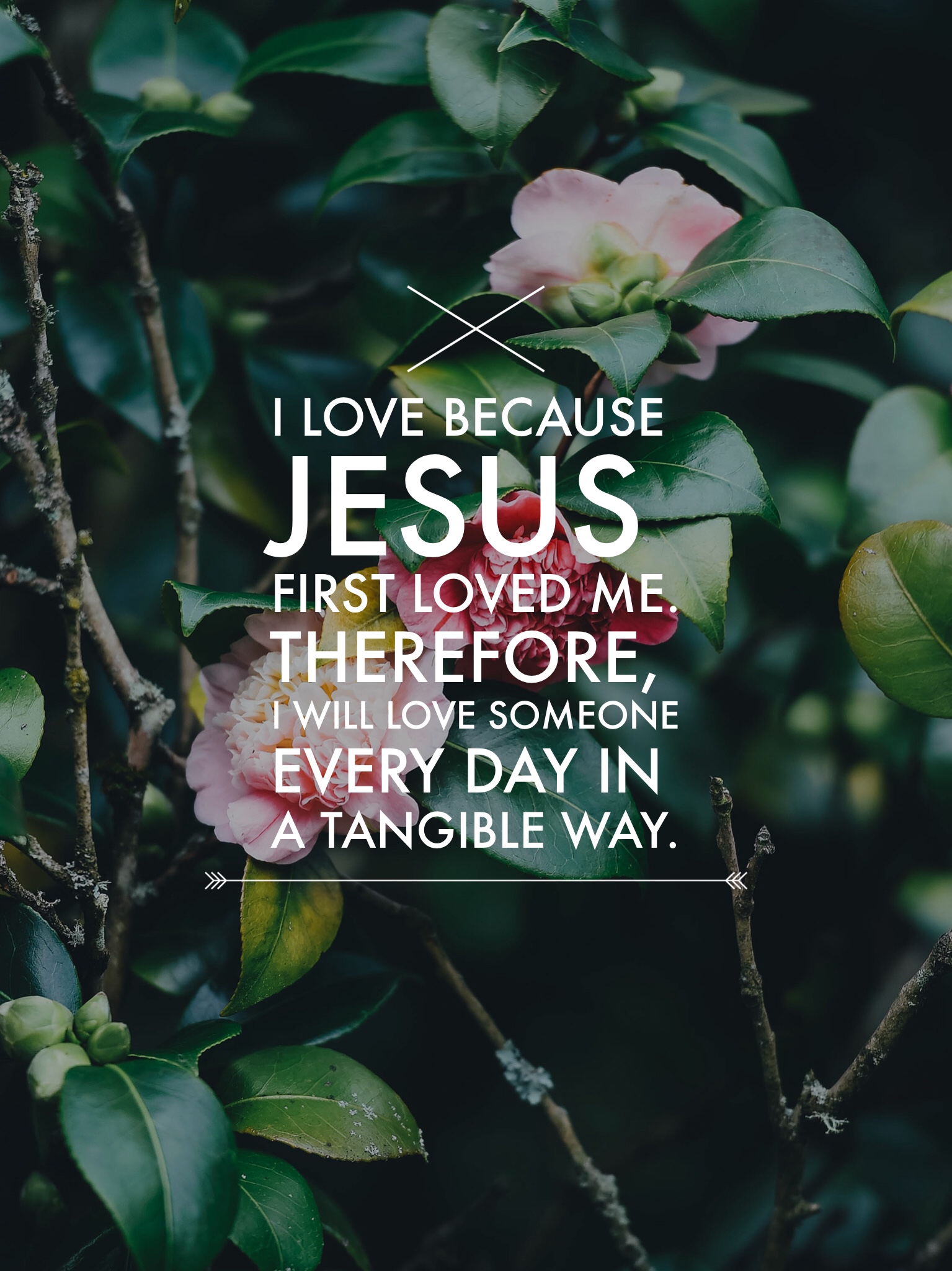 Plants Wallpaper Iphone - HD Wallpaper 