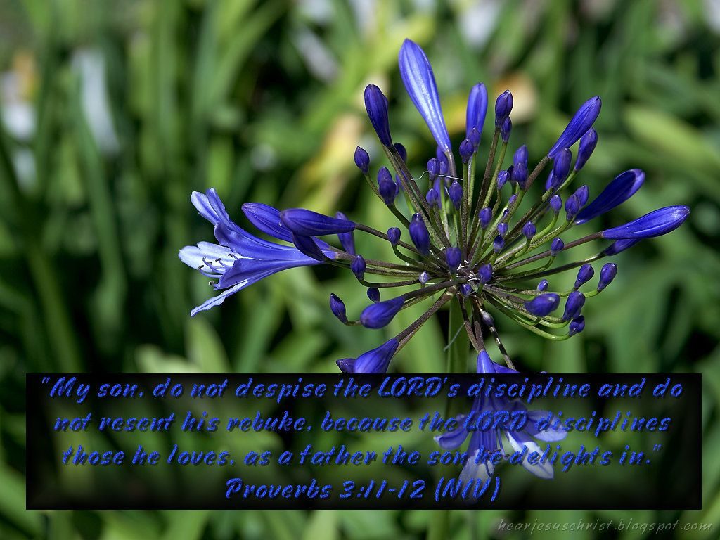 11-12 The Lord’s Discipline Christian Wallpaper Free - HD Wallpaper 