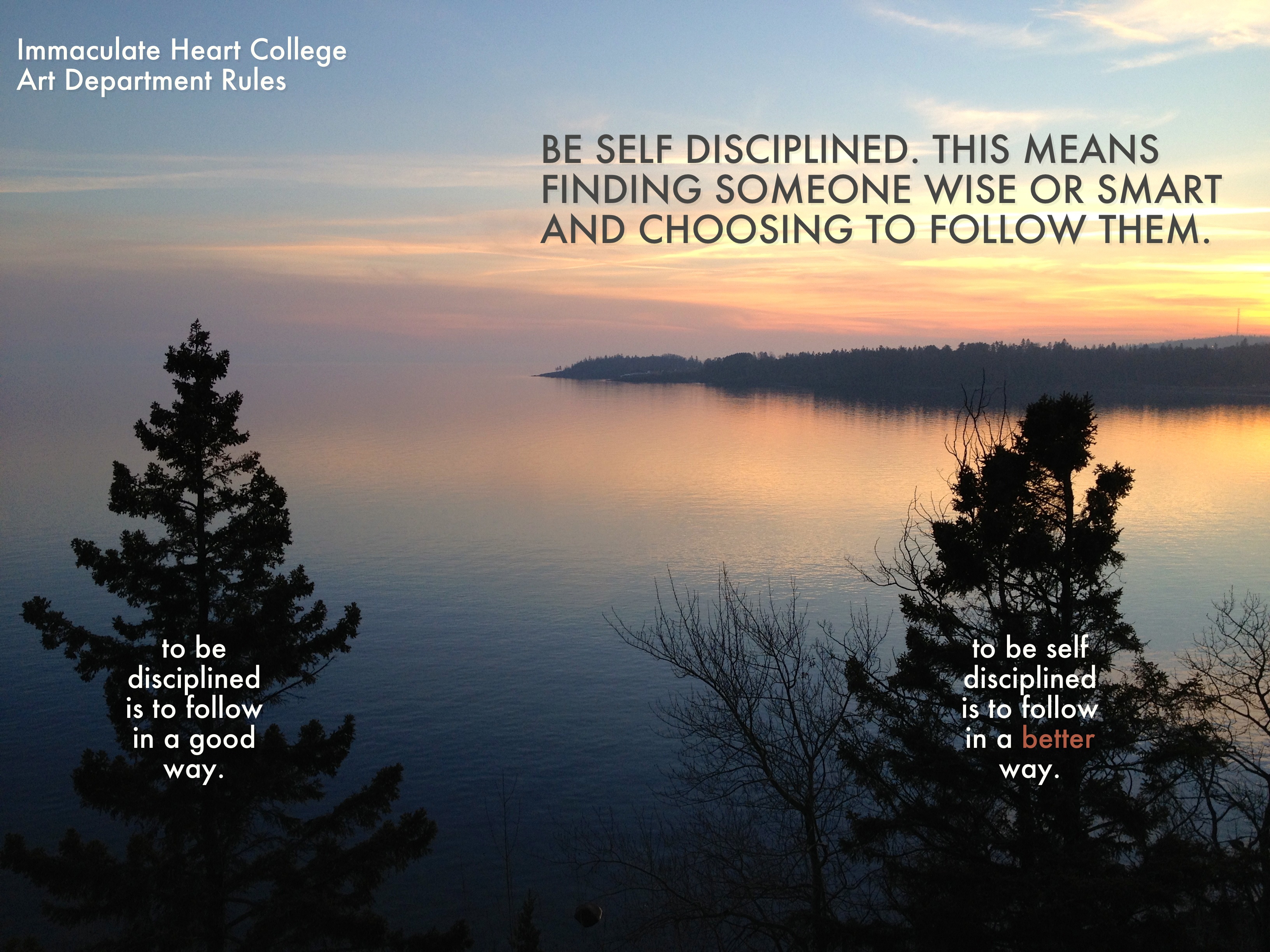 Shortleaf Black Spruce - HD Wallpaper 