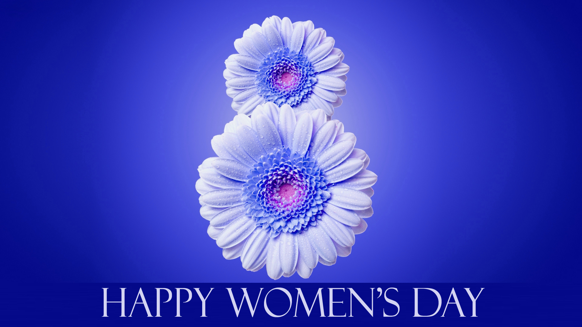 Woman's Day Happy Women's Day - 1920x1080 Wallpaper 