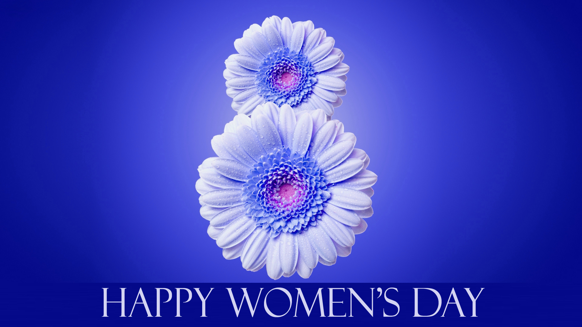 Woman's Day Happy Women's Day - HD Wallpaper 