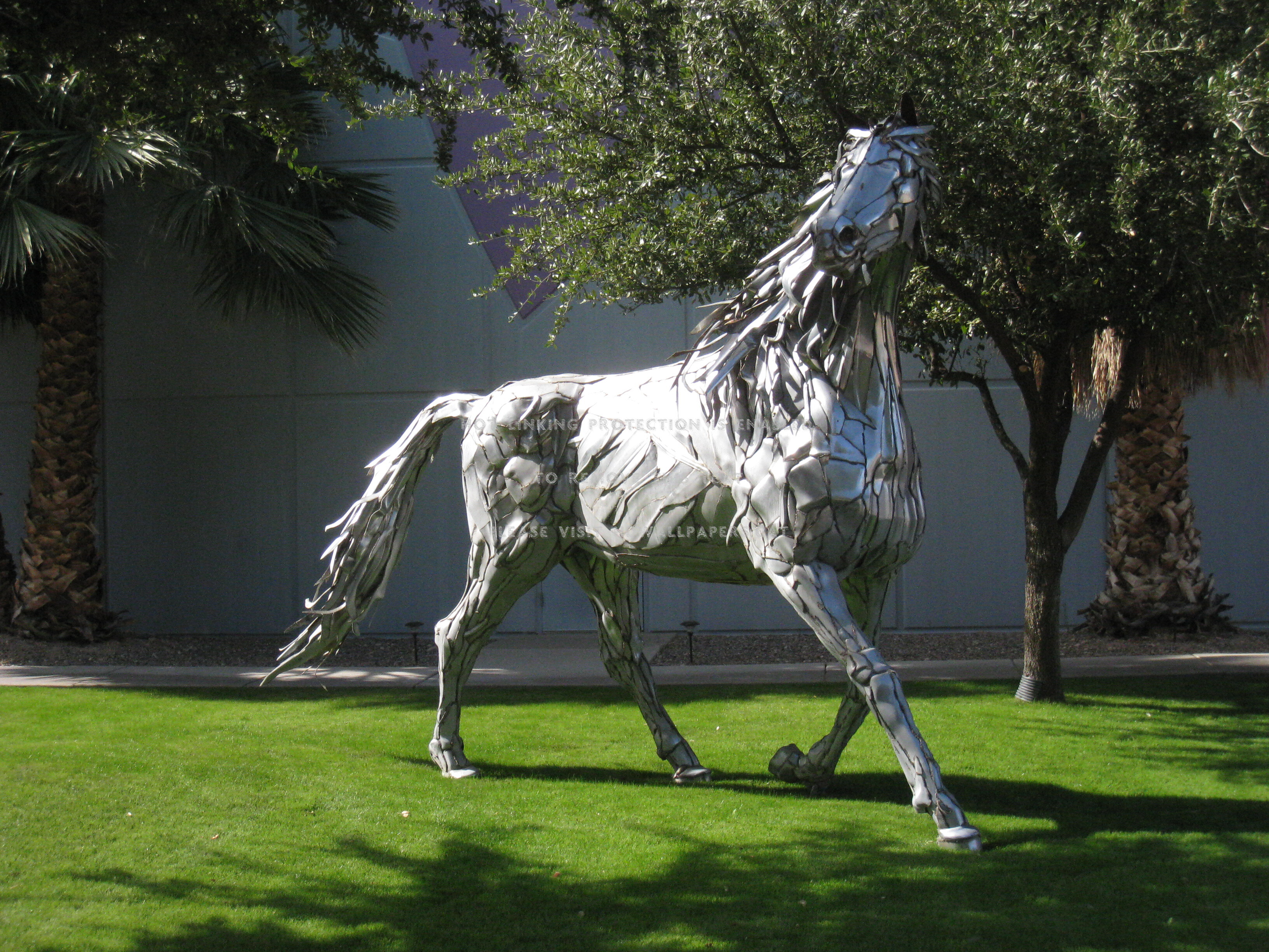 Lisa Frank Silver Horse Tucson Arizona - Stallion, wallpaper, background pi...
