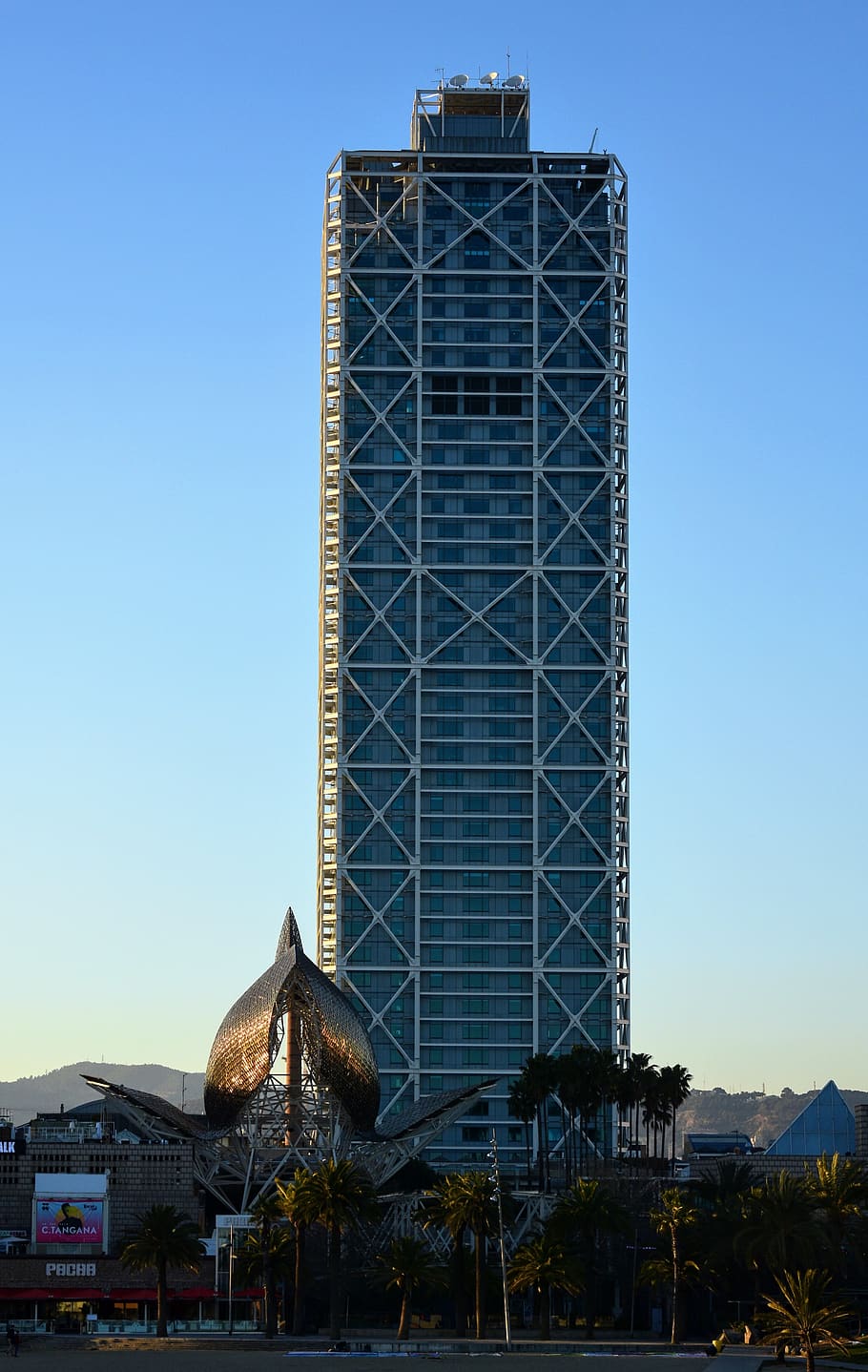 Frank, Fish, Barcelona, Hotel, Luxury, Port, Outdoor, - Tower Block - HD Wallpaper 