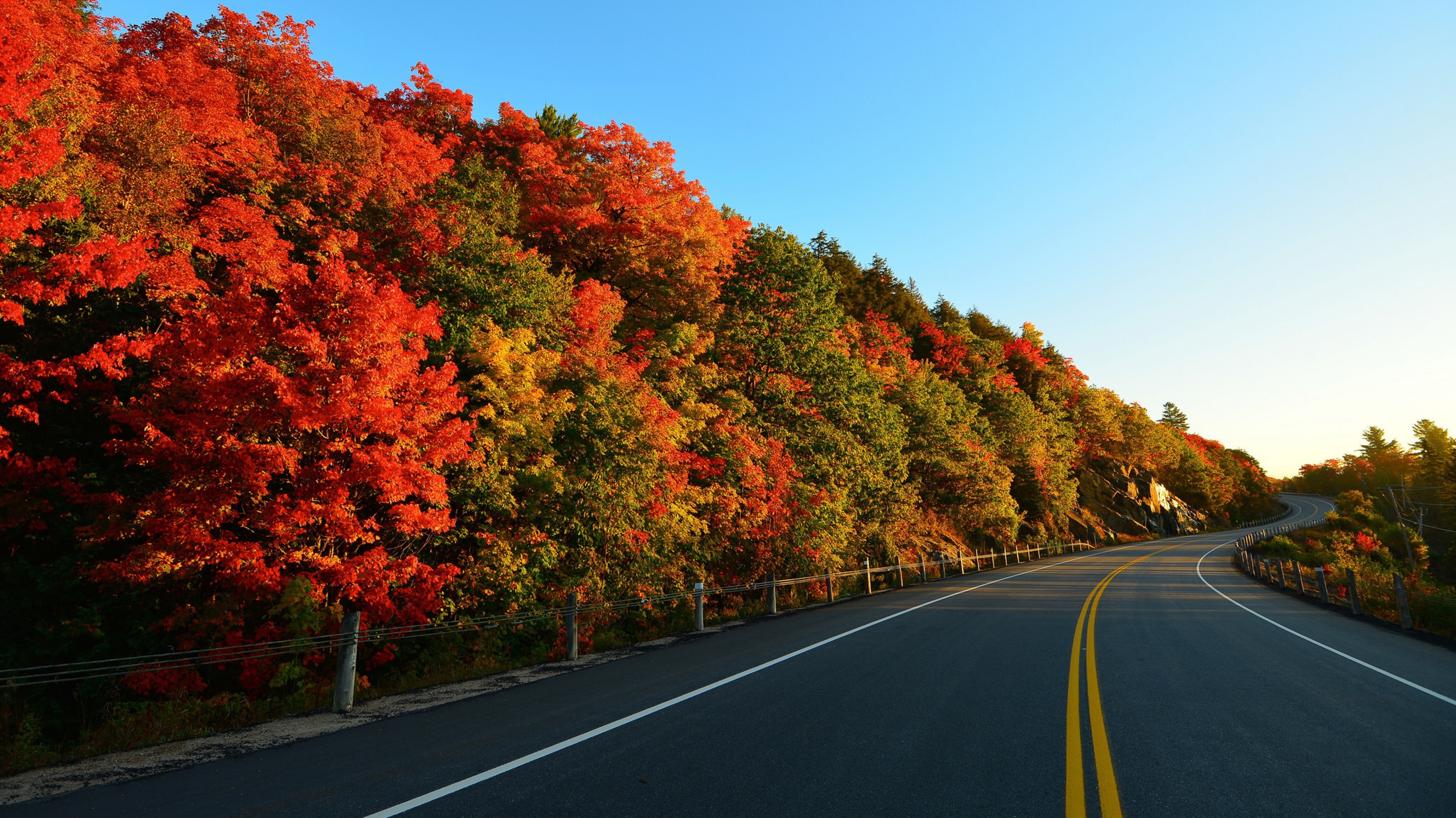 Autumn Road Wallpaper Hd - HD Wallpaper 