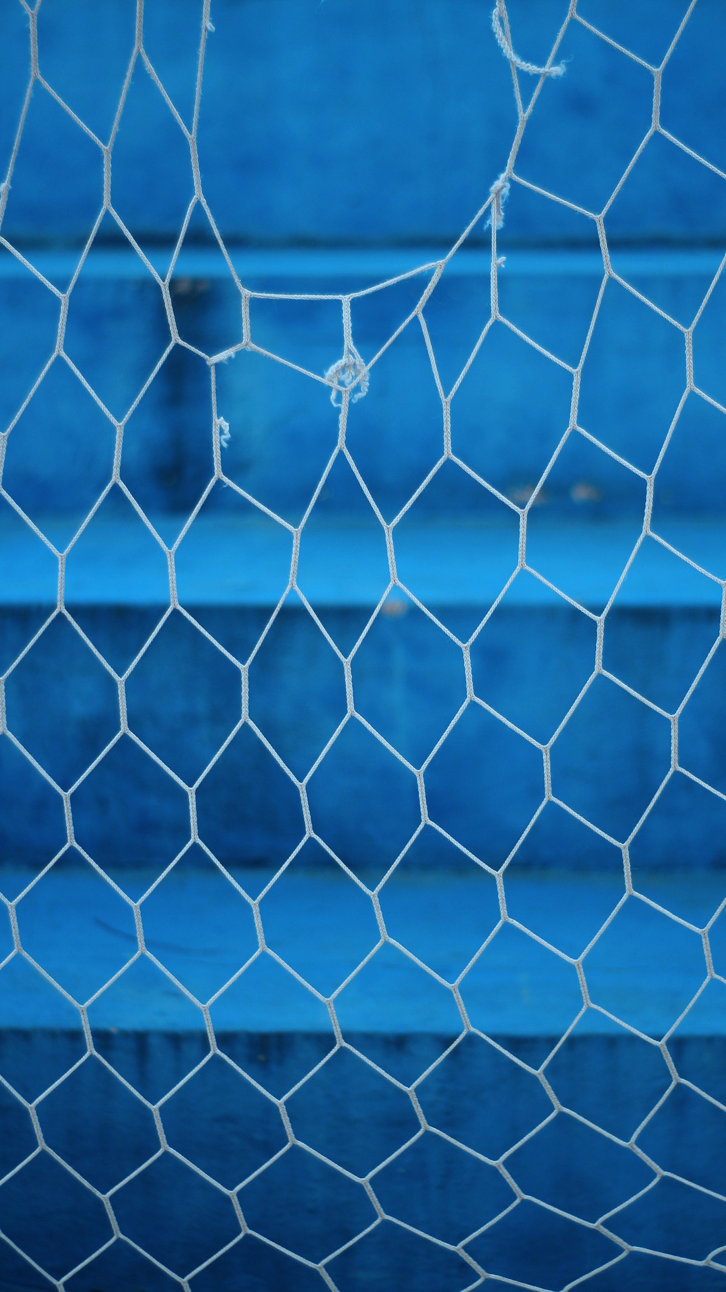 Wallpaper Mesh, Rope, Torn, Blue, Blur - HD Wallpaper 