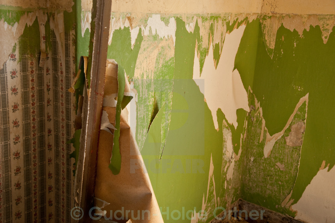 Old Torn Wallpaper With Little Flowers - Visual Arts - HD Wallpaper 