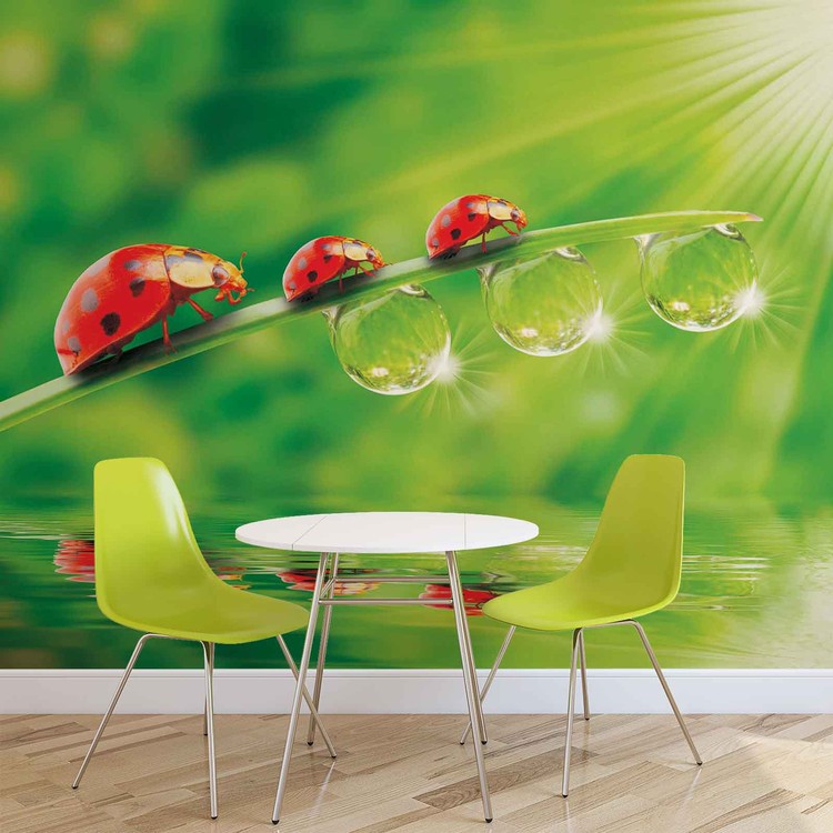 Ladybird Wallpaper Mural - Live Motion Wallpaper Download - HD Wallpaper 