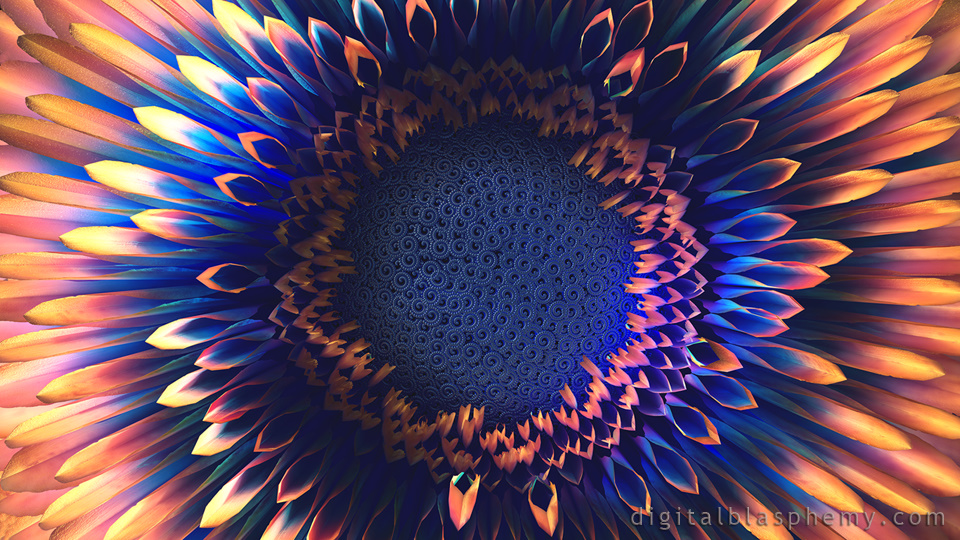 Sunflower - HD Wallpaper 