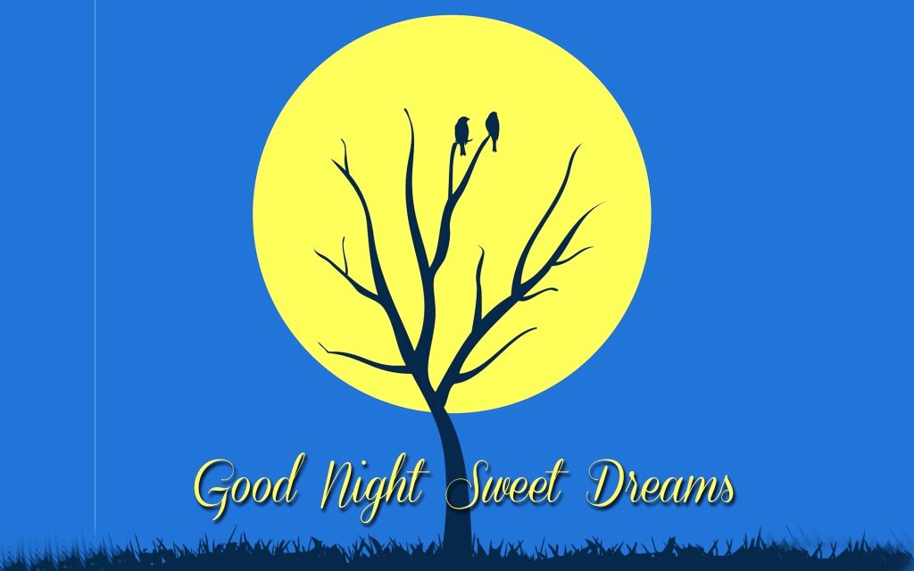 3789 Good Night Best Night View Hd Wallpapers Facebook - Vector Graphics - HD Wallpaper 