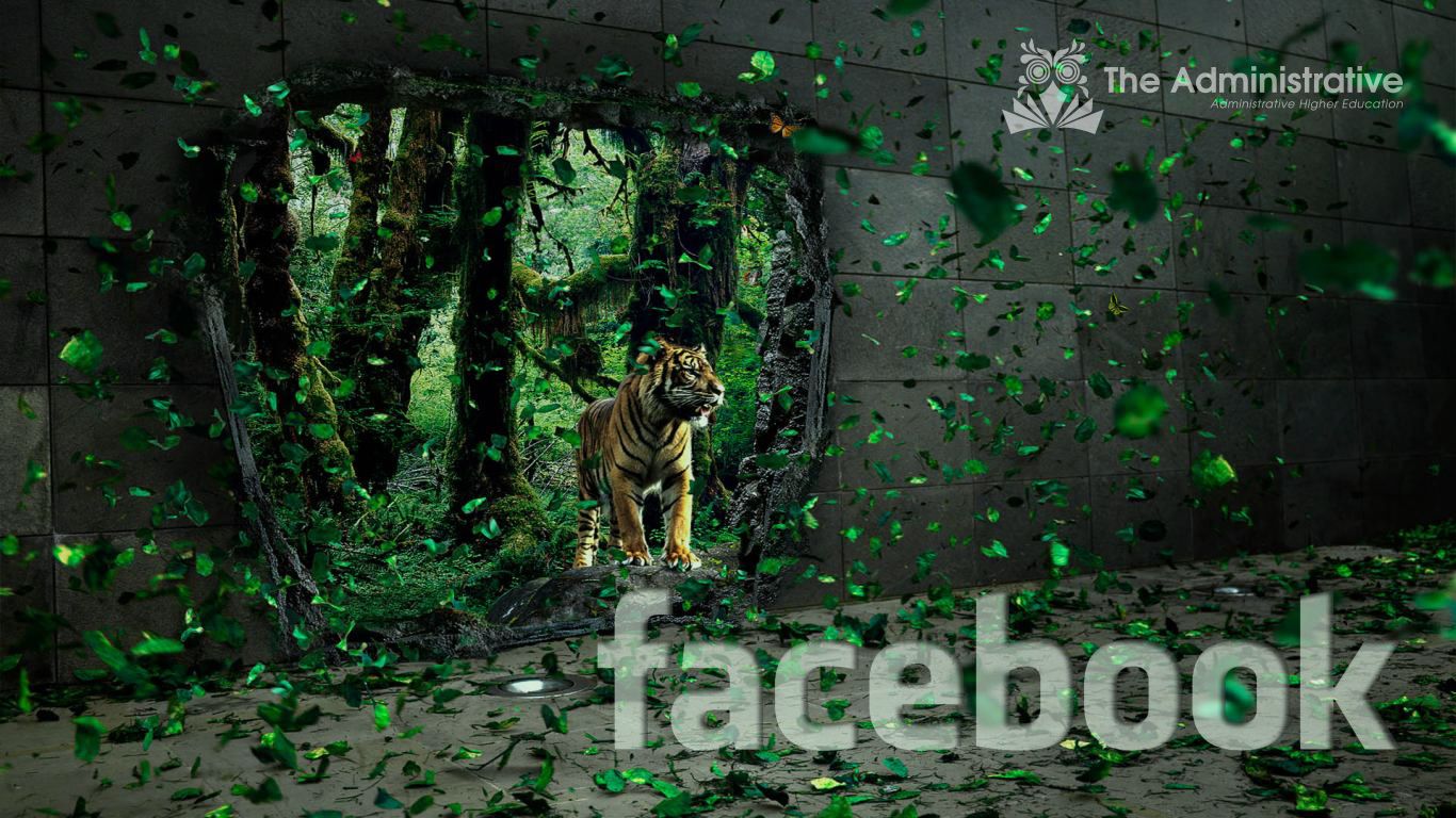 Nature Takes Over - HD Wallpaper 