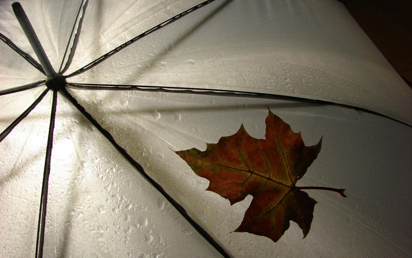 Rain Images Wallpaper Umbrella - HD Wallpaper 