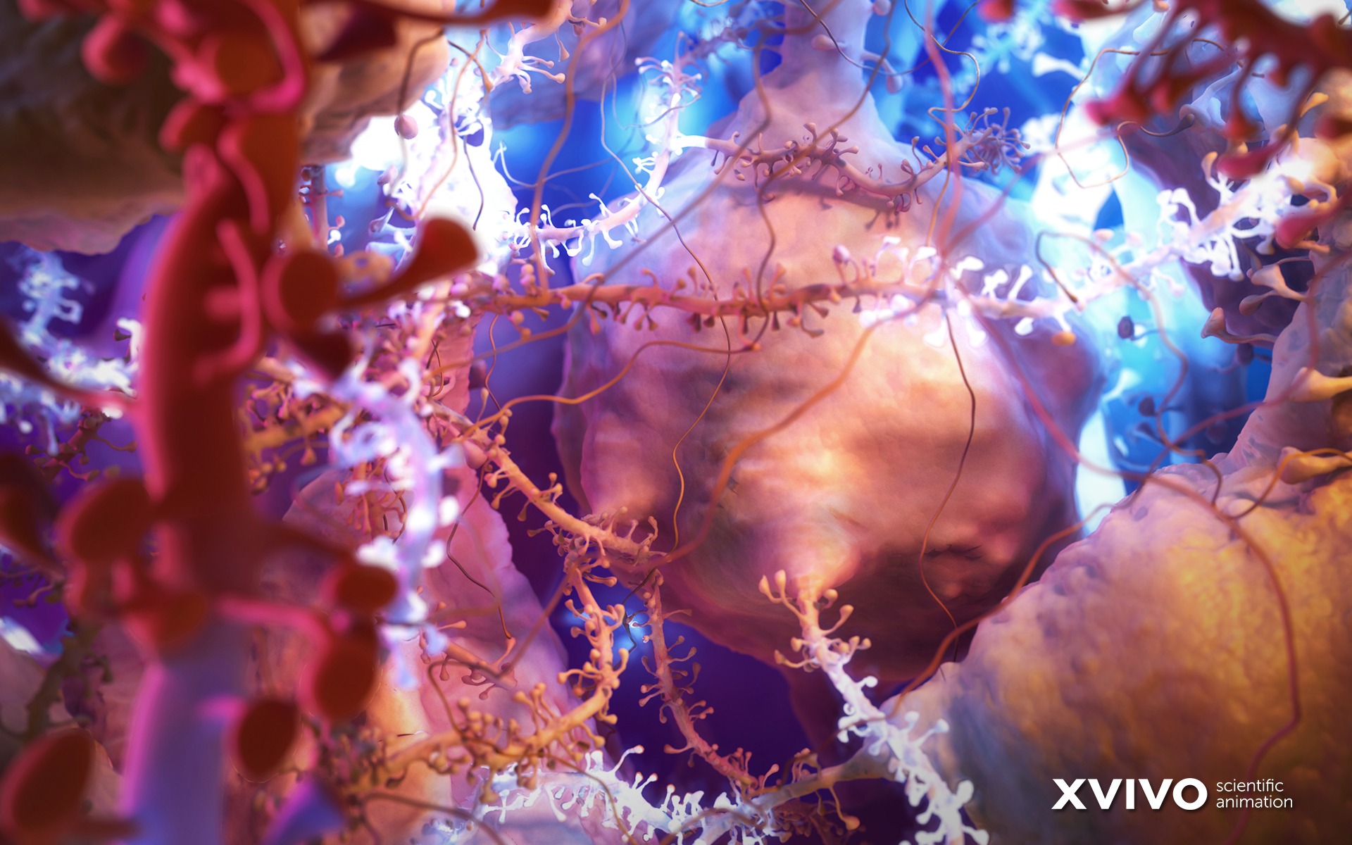 Medical Wallpaper For Desktop - HD Wallpaper 