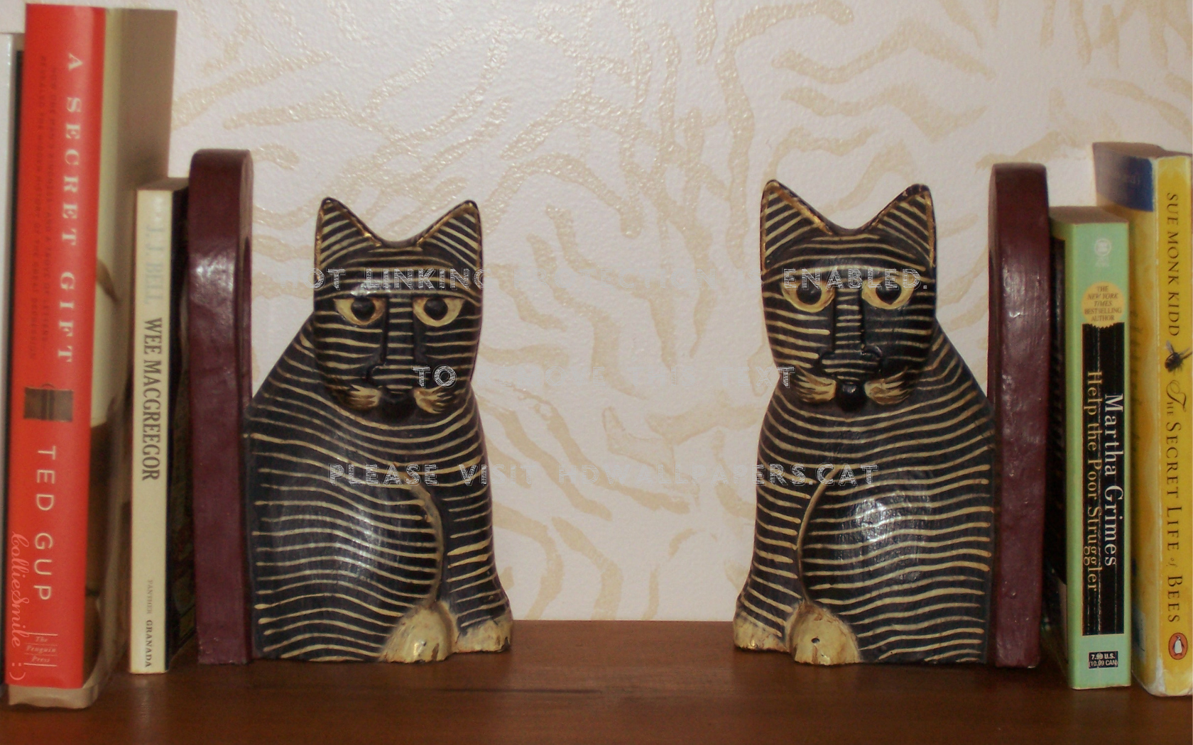 An Intellectual Pair Of Cats Bookends Kitty - Bookcase - HD Wallpaper 