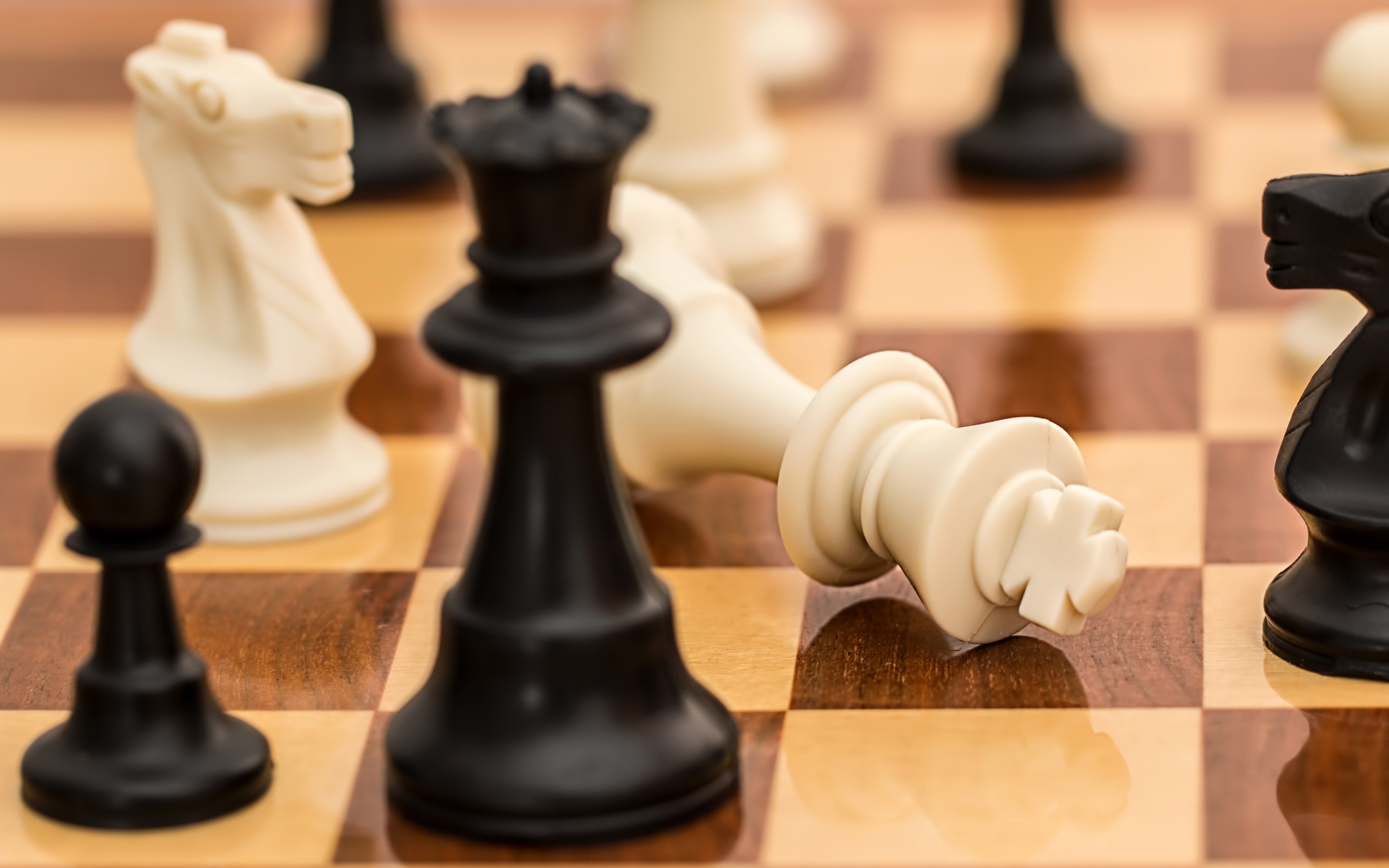 Best Chess - HD Wallpaper 