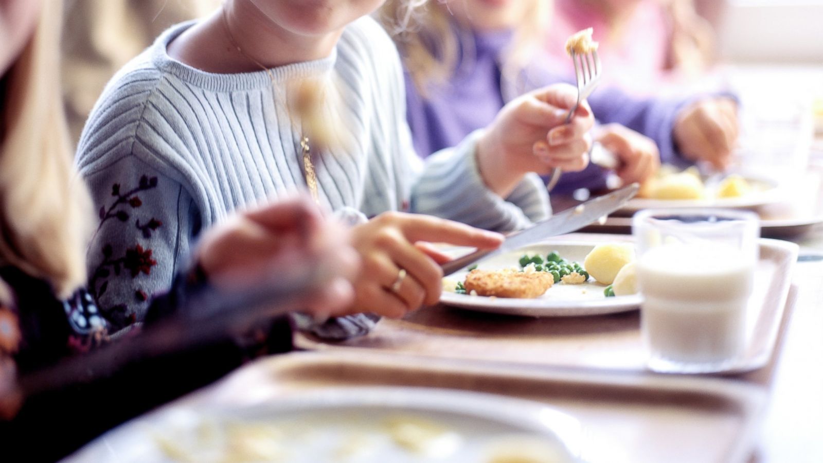 Food And School - HD Wallpaper 