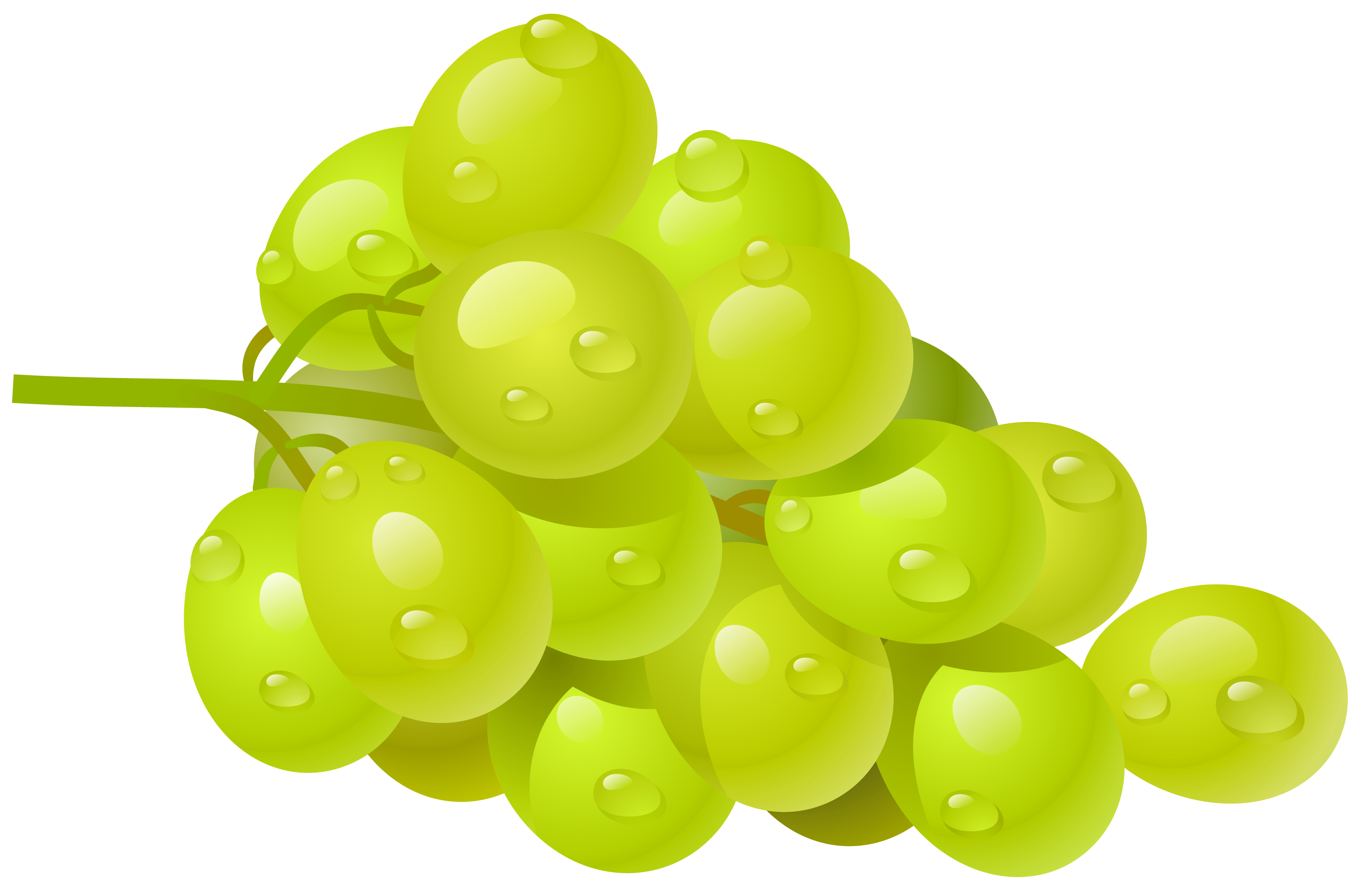 Grapes Png Clipart - HD Wallpaper 