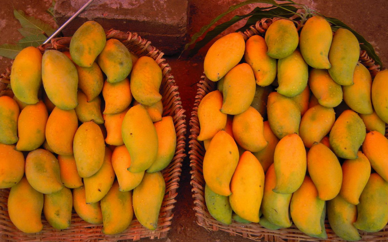 Mango Fruit Hd Free Pictures Collection - Mango - HD Wallpaper 