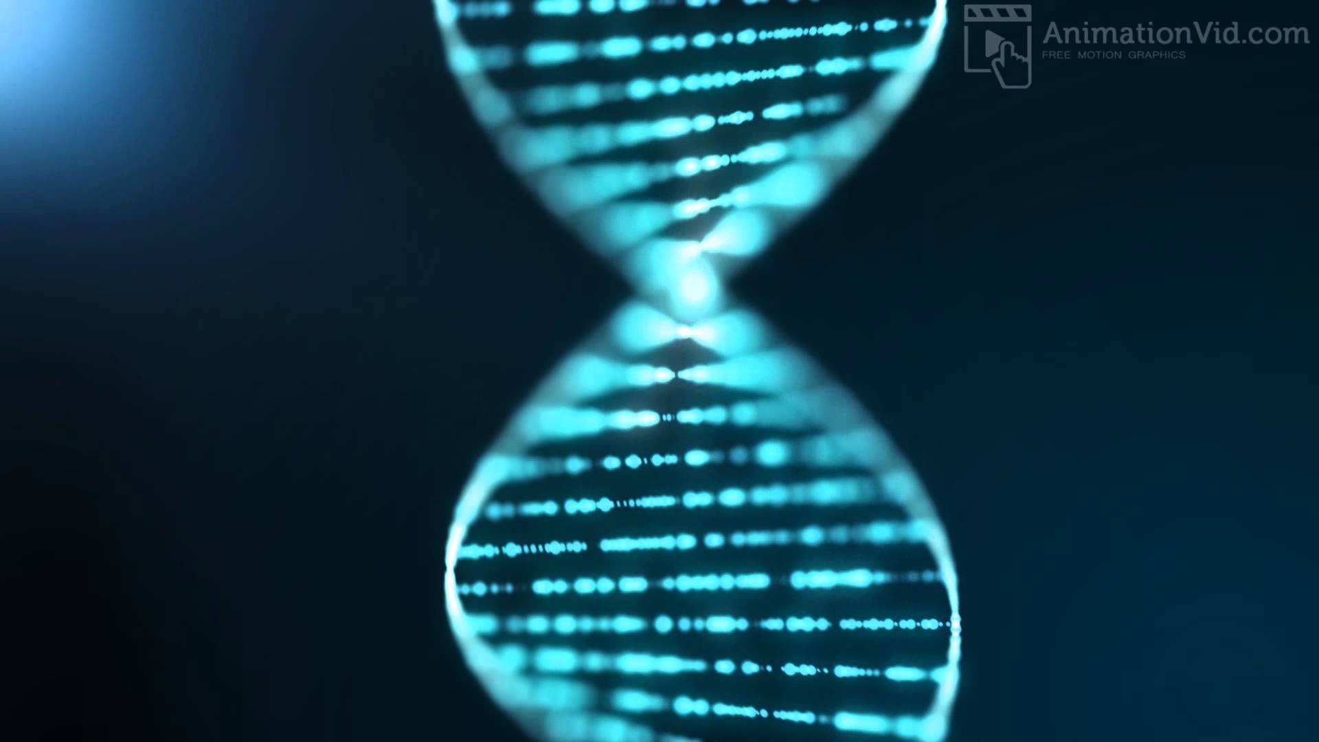Dna Moving Animation - HD Wallpaper 