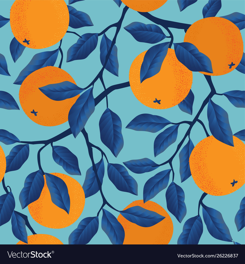 Orange - HD Wallpaper 