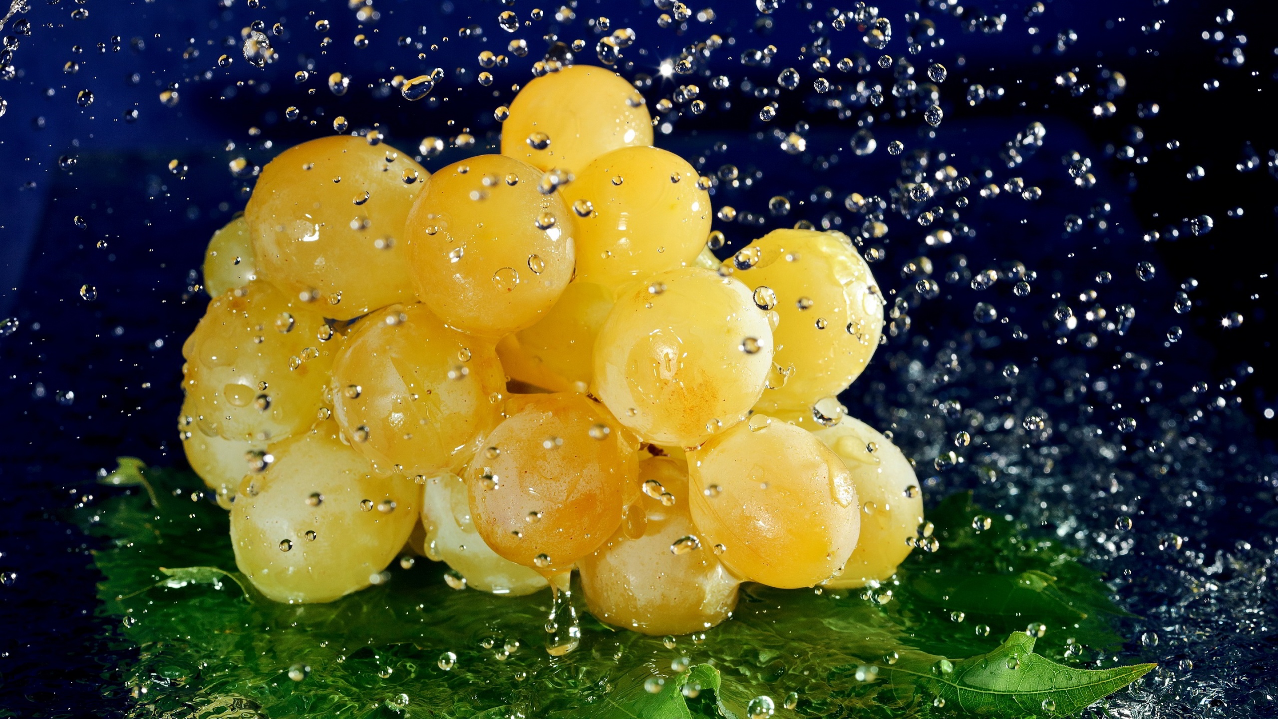 Grapes With Water Drops Hd - HD Wallpaper 