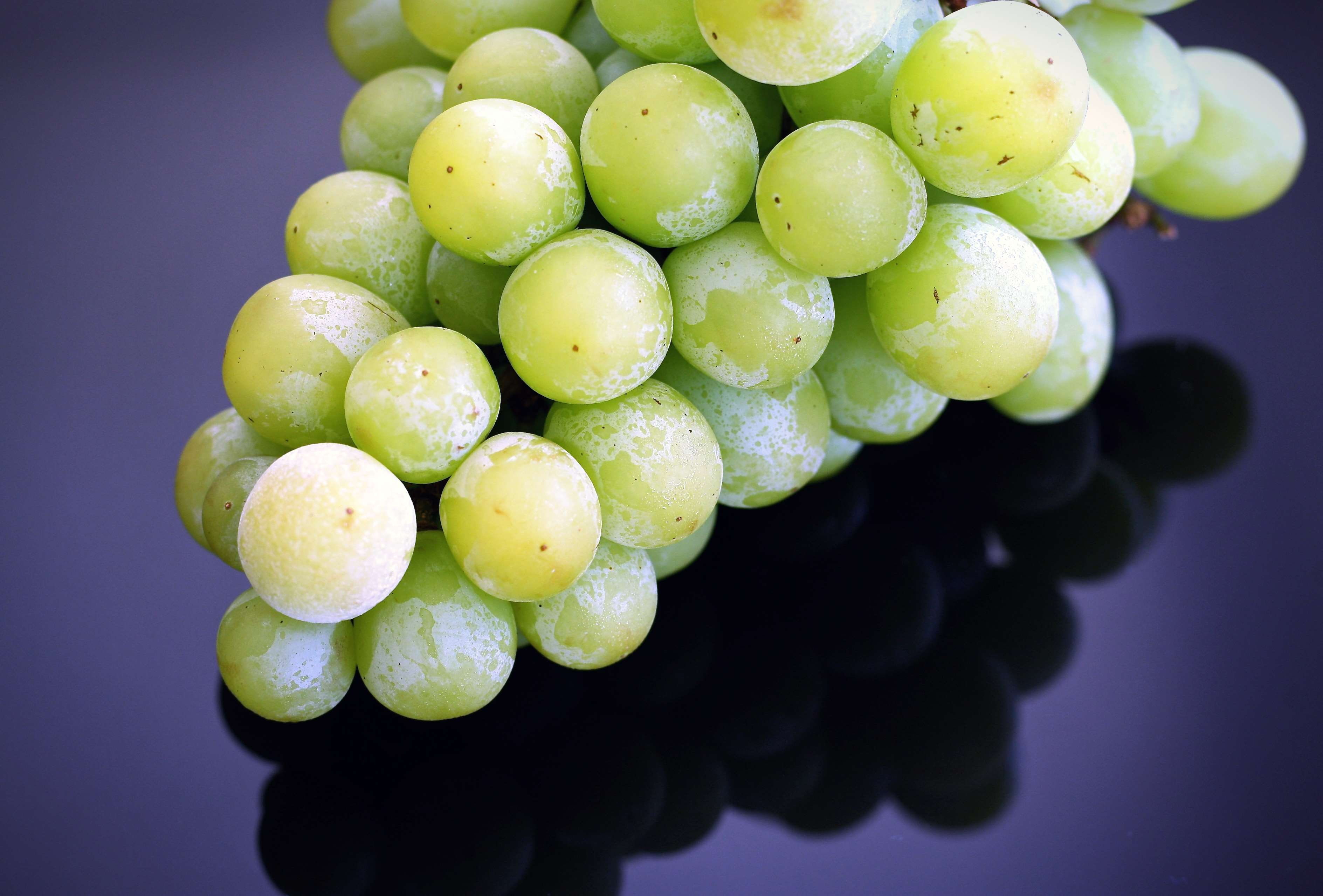 Grapes Important - HD Wallpaper 