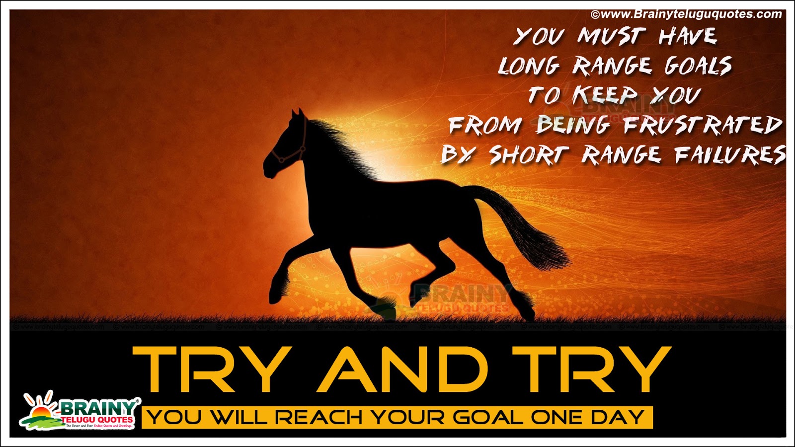 Here Is A Nice And Best Success Life Quotations With - Stallion - HD Wallpaper 