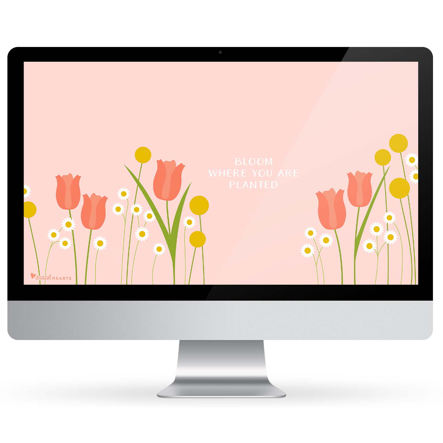 Desktop Wallpaper Januar 2019 - HD Wallpaper 