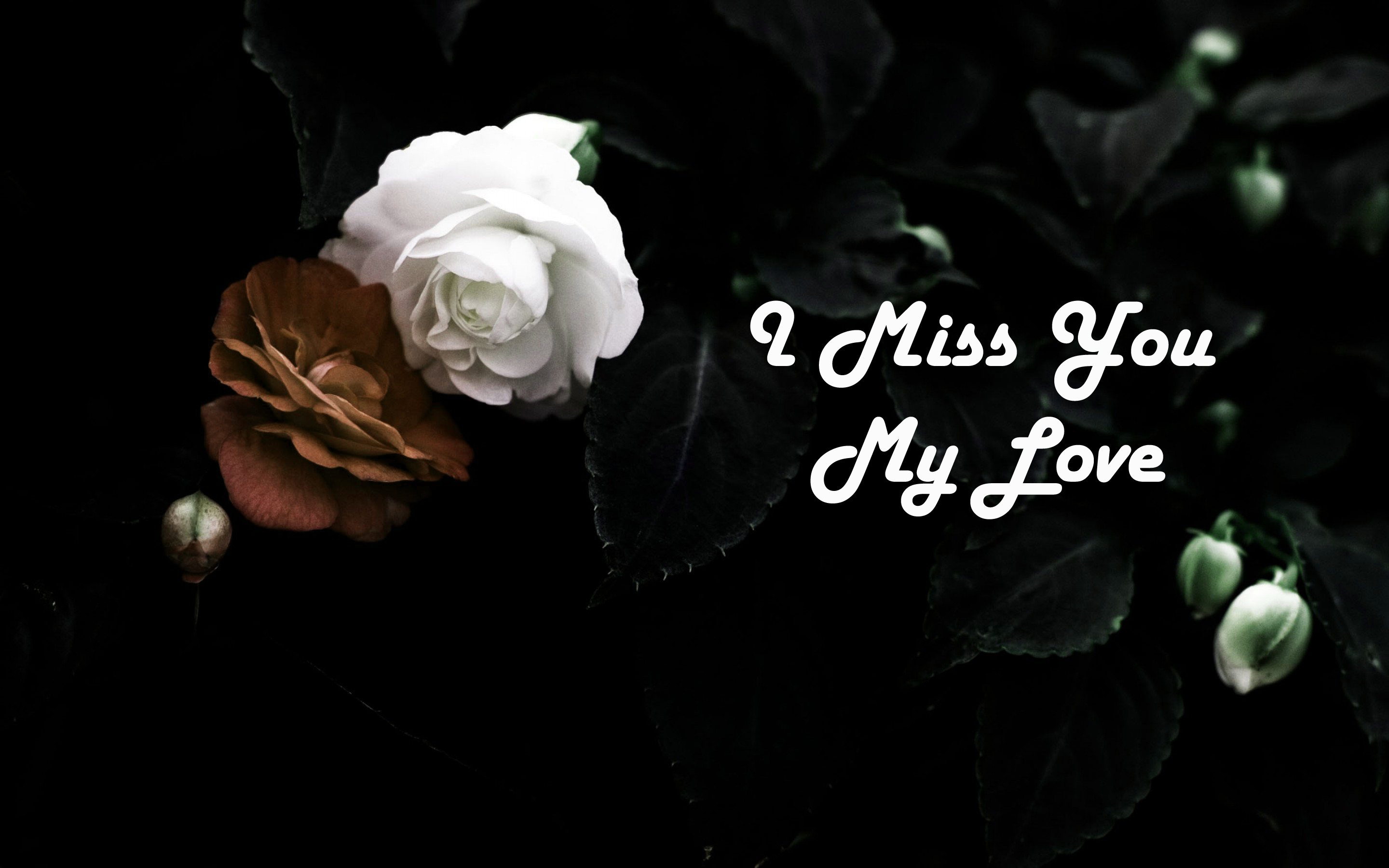 I Miss You My Love Wide Wallpapers And Backgrounds - Dark Wallpaper With Flowers - HD Wallpaper 