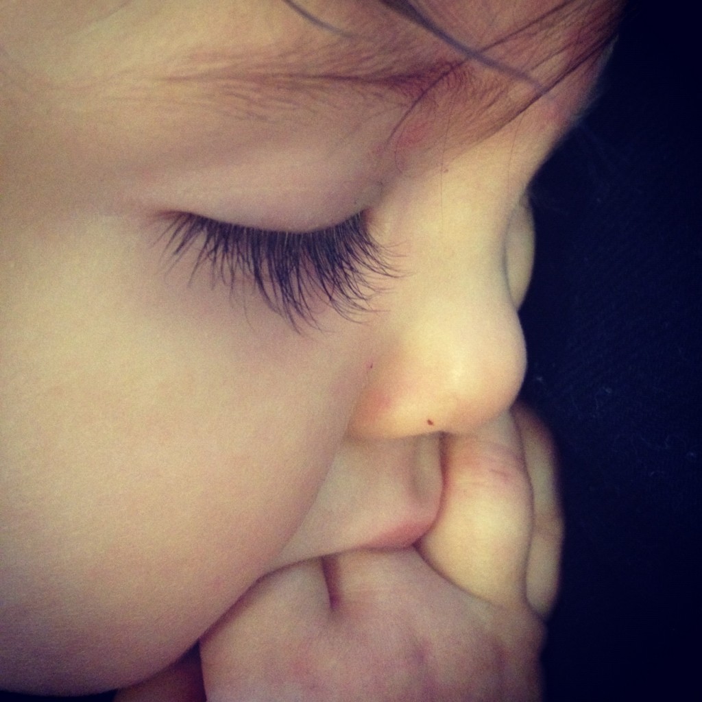 Close-up - HD Wallpaper 