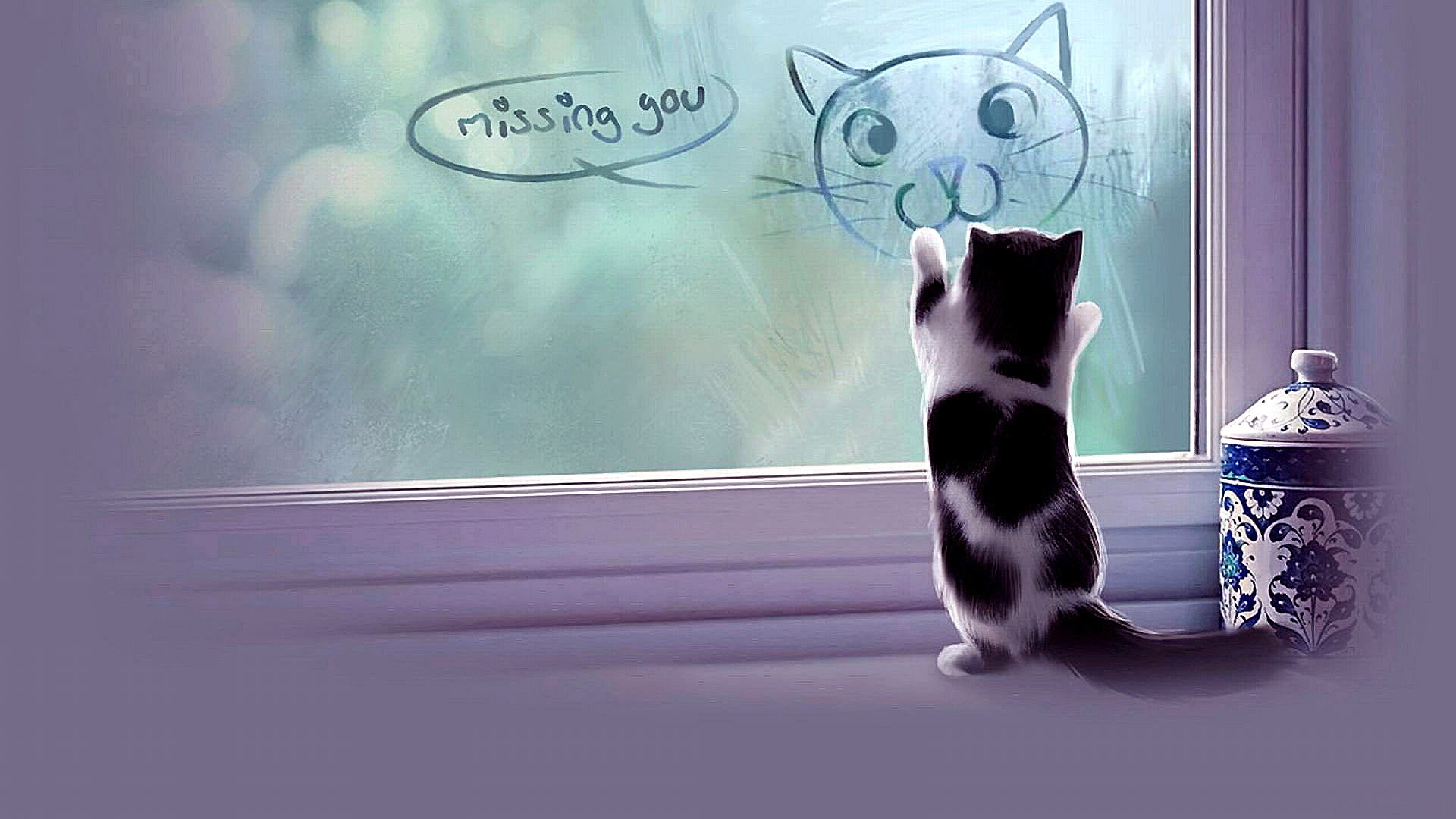 Missing You Cat - HD Wallpaper 