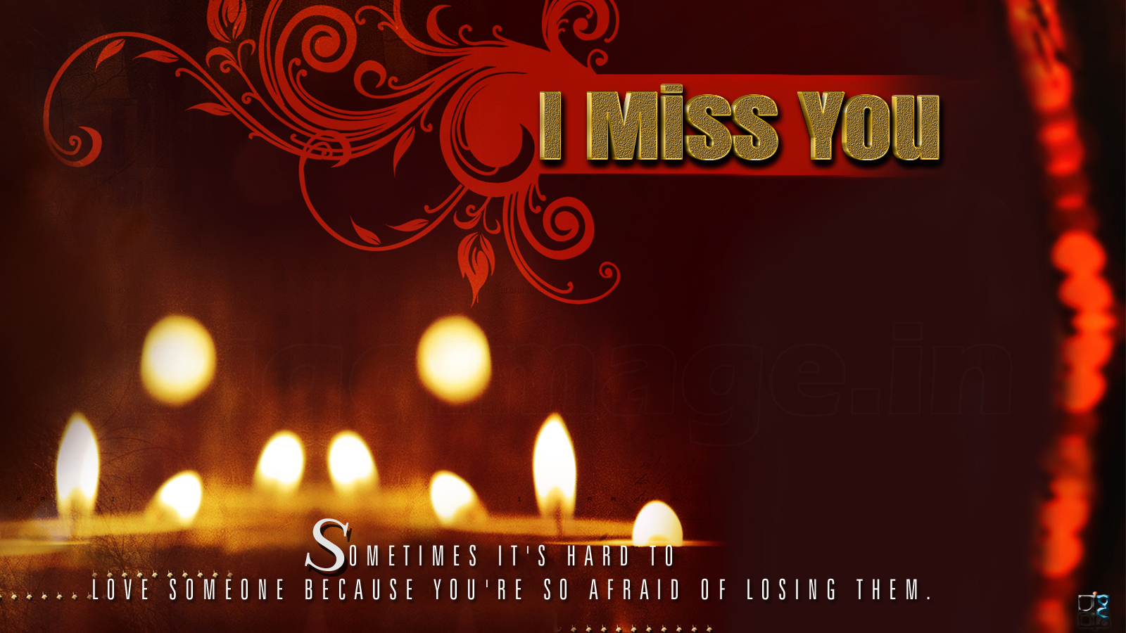 Decoration - HD Wallpaper 