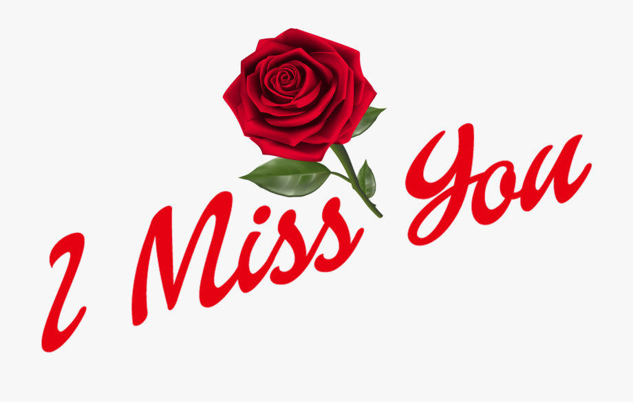 Weird Missing You Clipart Transparent Download I Miss - Floribunda - HD Wallpaper 