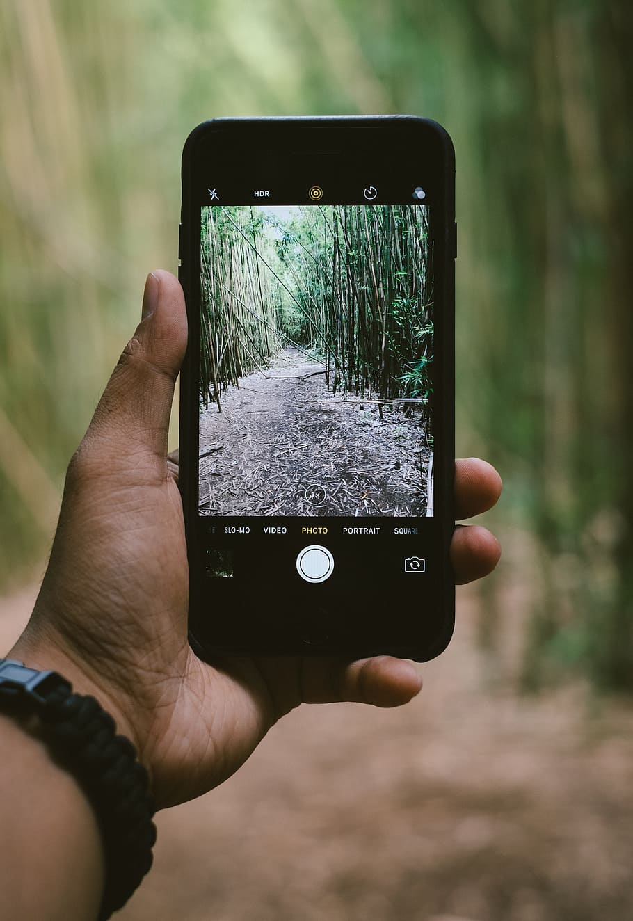 Person Holding Smartphone While Taking Photo Of Green - Iphone Wildlife Photography - HD Wallpaper 